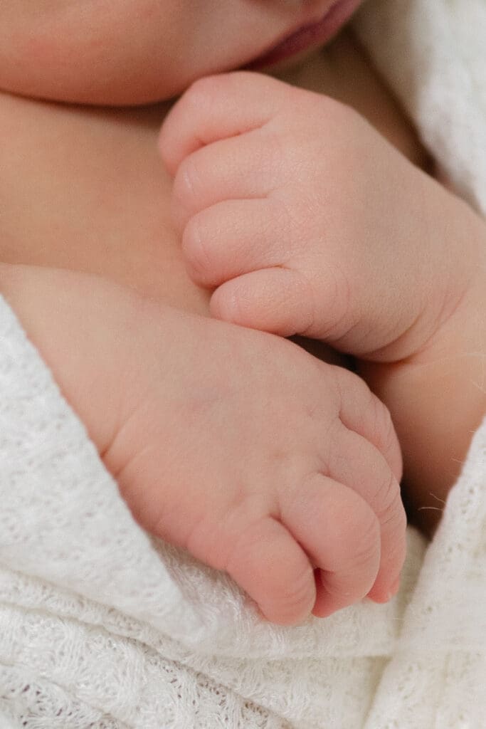 Newborn baby's chubby little hands captured during session